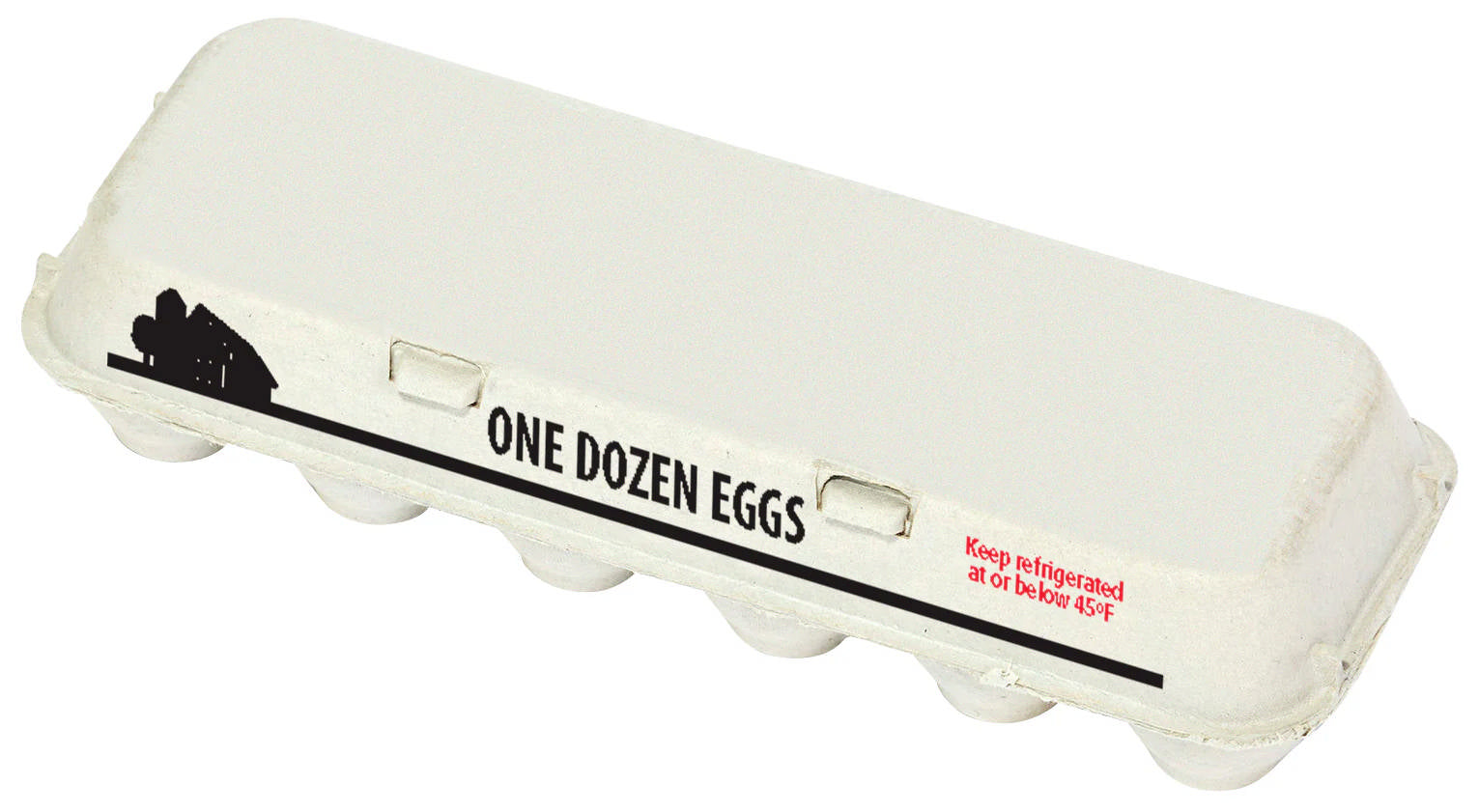 Pulp Egg Carton